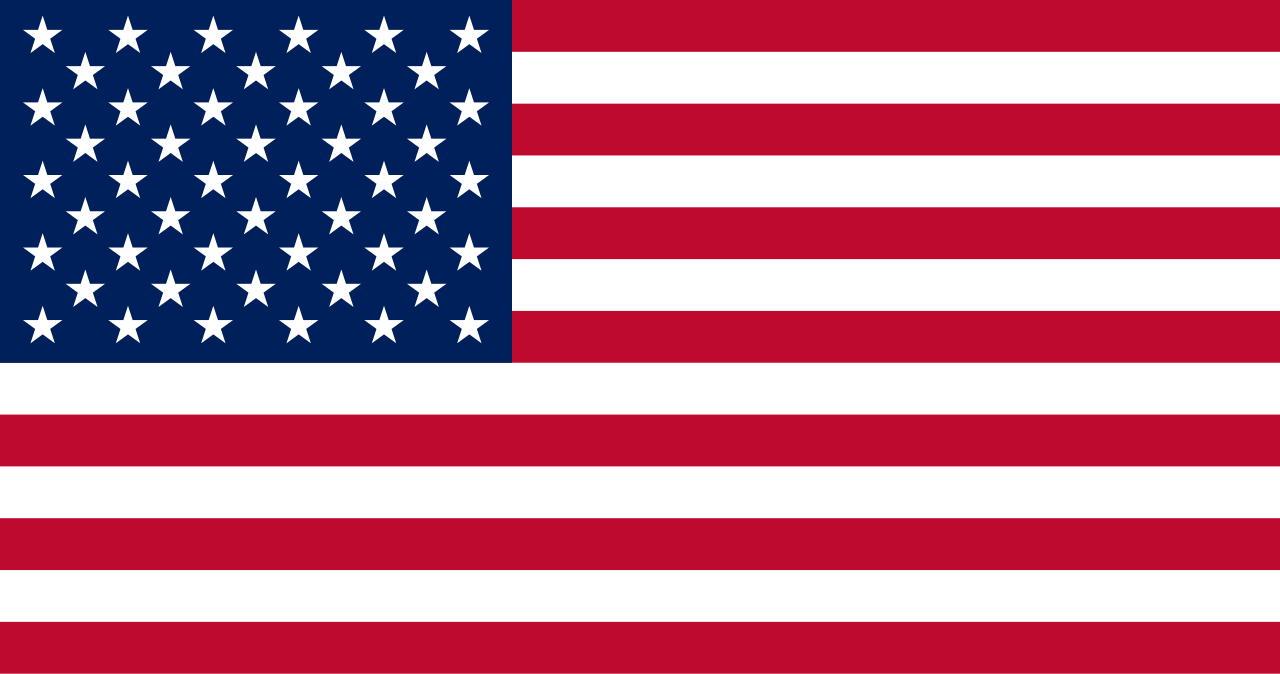 USA Icon